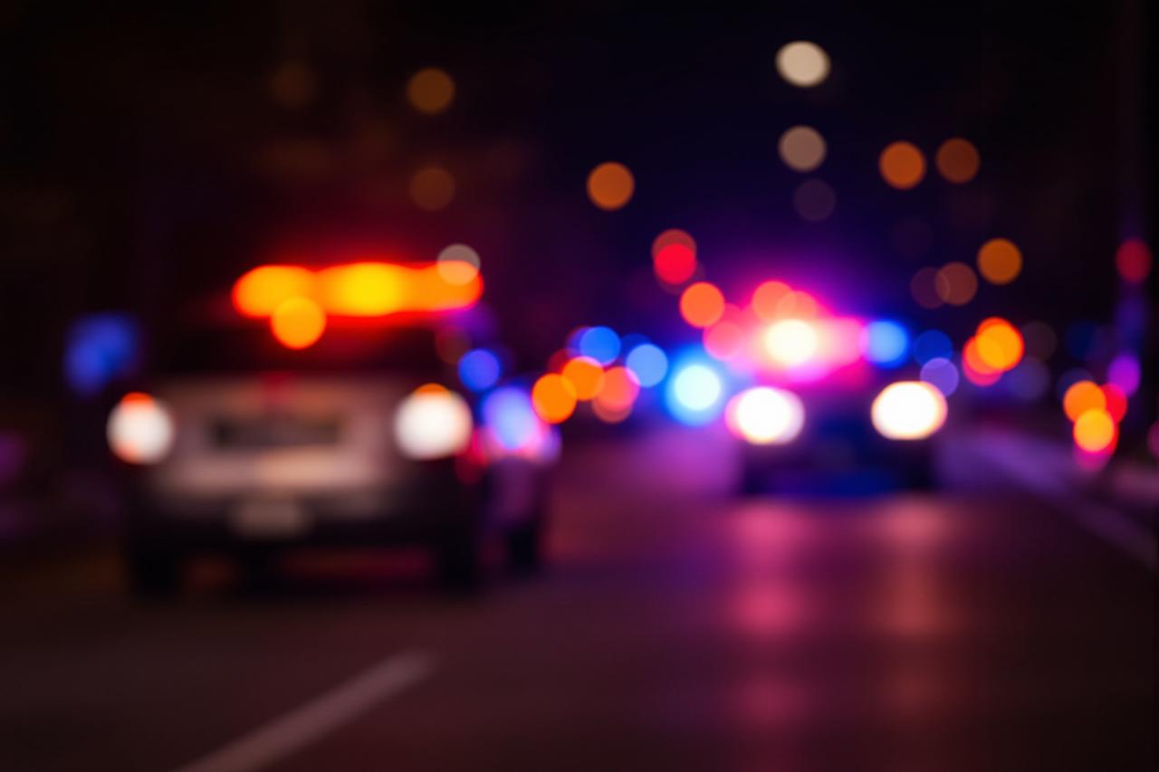 娱乐吃瓜酱女人的第六感遇上猫咪界的网红捕鸟高手引发全网热议